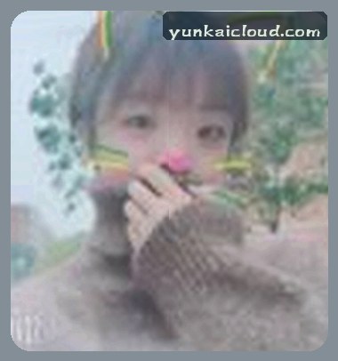 赵磊